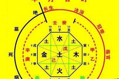 喜木火|【喜木火的人】八字喜木火的人不可錯過的運勢錦囊，招財順利秘。